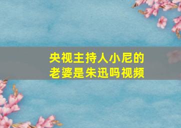 央视主持人小尼的老婆是朱迅吗视频