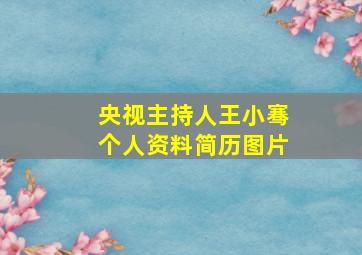 央视主持人王小骞个人资料简历图片