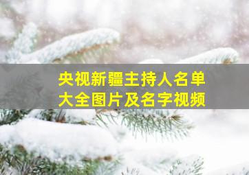 央视新疆主持人名单大全图片及名字视频