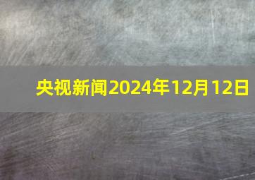 央视新闻2024年12月12日