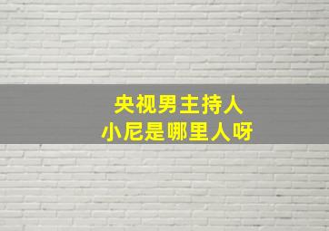 央视男主持人小尼是哪里人呀