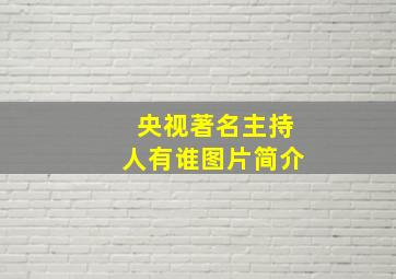 央视著名主持人有谁图片简介