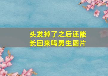 头发掉了之后还能长回来吗男生图片