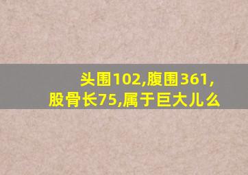 头围102,腹围361,股骨长75,属于巨大儿么