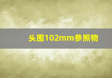 头围102mm参照物