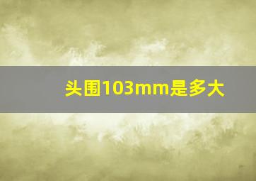 头围103mm是多大