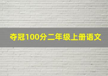 夺冠100分二年级上册语文