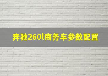 奔驰260l商务车参数配置