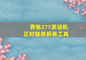 奔驰271发动机正时链条拆装工具