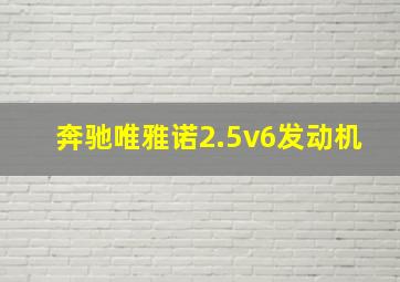 奔驰唯雅诺2.5v6发动机