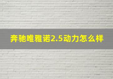 奔驰唯雅诺2.5动力怎么样