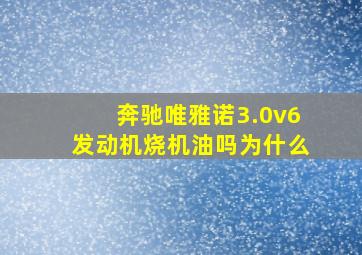 奔驰唯雅诺3.0v6发动机烧机油吗为什么