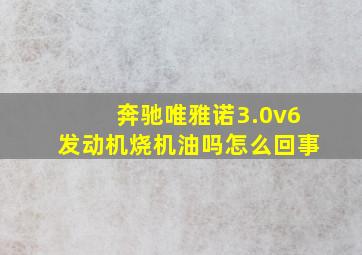 奔驰唯雅诺3.0v6发动机烧机油吗怎么回事