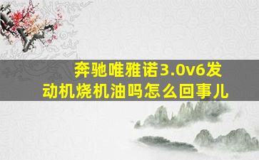 奔驰唯雅诺3.0v6发动机烧机油吗怎么回事儿