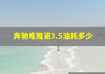 奔驰唯雅诺3.5油耗多少