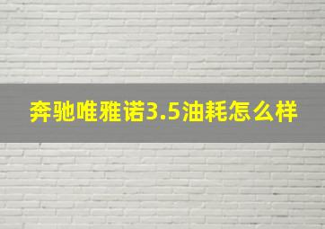 奔驰唯雅诺3.5油耗怎么样