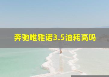 奔驰唯雅诺3.5油耗高吗