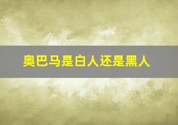 奥巴马是白人还是黑人