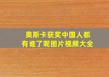 奥斯卡获奖中国人都有谁了呢图片视频大全