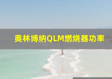 奥林博纳QLM燃烧器功率