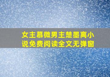 女主慕微男主楚墨离小说免费阅读全文无弹窗