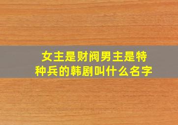 女主是财阀男主是特种兵的韩剧叫什么名字