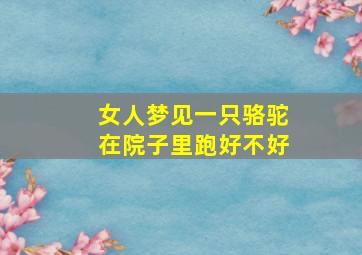 女人梦见一只骆驼在院子里跑好不好