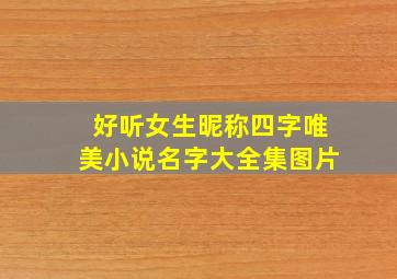 好听女生昵称四字唯美小说名字大全集图片