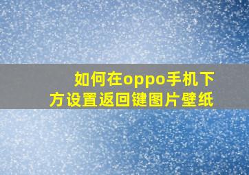 如何在oppo手机下方设置返回键图片壁纸