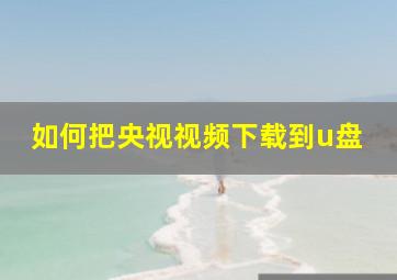 如何把央视视频下载到u盘