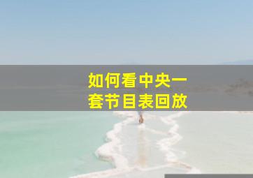 如何看中央一套节目表回放