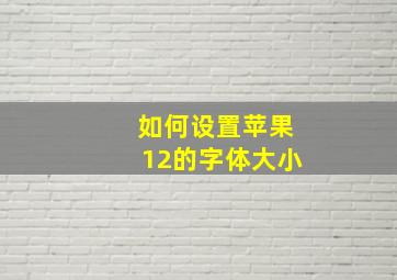 如何设置苹果12的字体大小