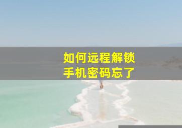 如何远程解锁手机密码忘了