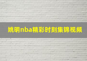 姚明nba精彩时刻集锦视频