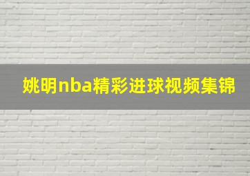 姚明nba精彩进球视频集锦