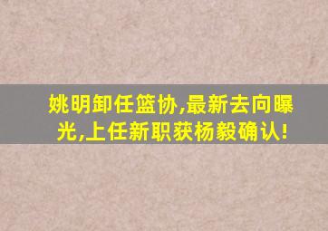 姚明卸任篮协,最新去向曝光,上任新职获杨毅确认!