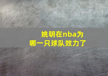 姚明在nba为哪一只球队效力了