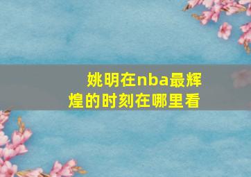 姚明在nba最辉煌的时刻在哪里看