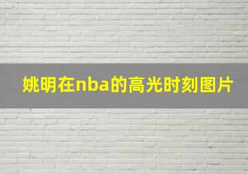 姚明在nba的高光时刻图片