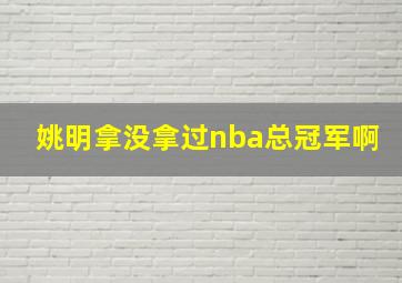 姚明拿没拿过nba总冠军啊