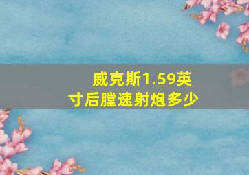 威克斯1.59英寸后膛速射炮多少