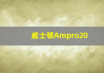 威士顿Ampro20