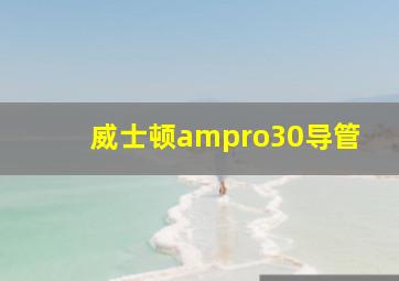 威士顿ampro30导管