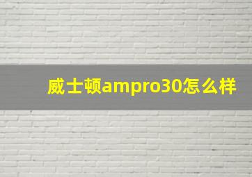 威士顿ampro30怎么样