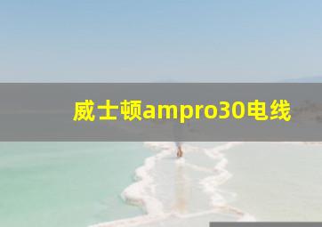 威士顿ampro30电线