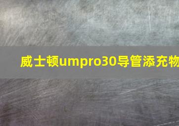 威士顿umpro30导管添充物