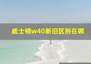 威士顿w40新旧区别在哪