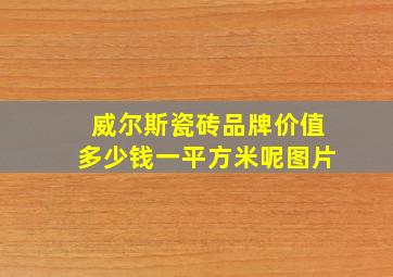 威尔斯瓷砖品牌价值多少钱一平方米呢图片