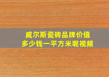 威尔斯瓷砖品牌价值多少钱一平方米呢视频