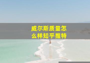 威尔斯质量怎么样知乎推特